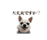 840110731
