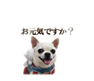 840110738