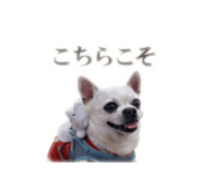 840110741