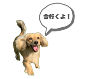 840111019