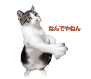 840111388