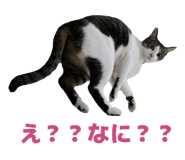 840111391