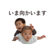 840111446