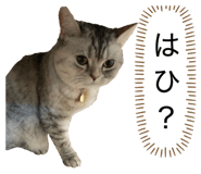 840112017