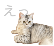 840112021