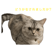 840112026