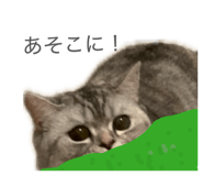 840112030