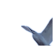 840112046