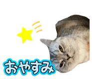 840112048