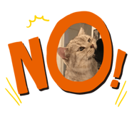 840115101