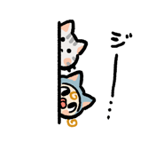 840117543