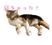 840118300
