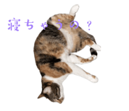 840118301