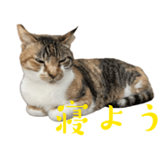 840118303