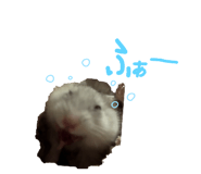 840118578