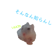840118595