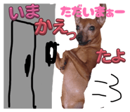 840118817