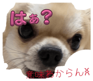 840118818