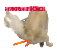 840118830