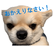 840118845