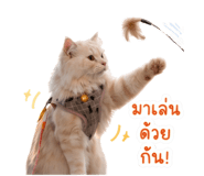 840122287