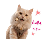 840122288