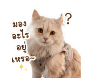 840122289