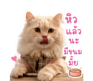840122291