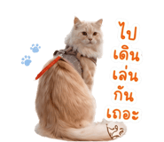 840122294
