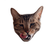 840123342