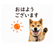 840123457
