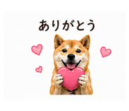 840123462