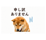 840123466