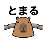 840125902