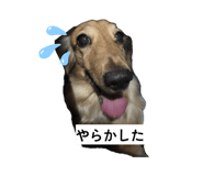 840126787