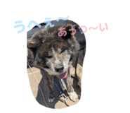 840127035