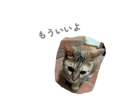 840127039