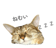 840127040