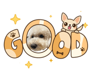 840127082