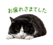 840127364