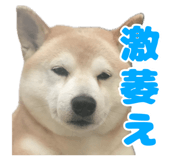 840127779