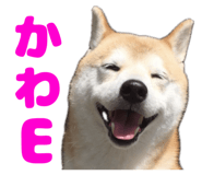 840127782