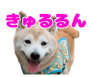 840127784