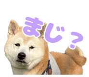 840127785