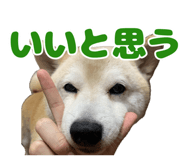 840127786