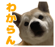 840127787