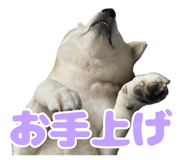840127791