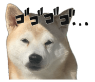 840127794