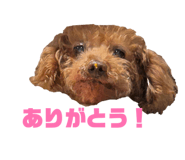 840127964