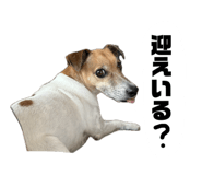 840128694